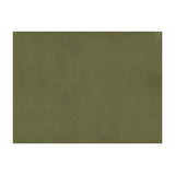BRUNSCHWIG & FILS JAG-50002.30.0 SUKHOTHAI OLIVE  Fabric - Eade's Wallpaper