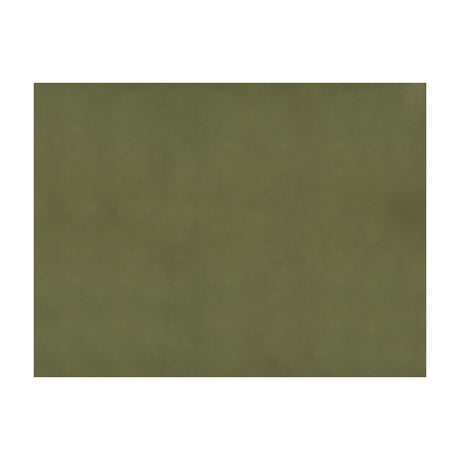 BRUNSCHWIG & FILS JAG-50002.30.0 SUKHOTHAI OLIVE  Fabric - Eade's Wallpaper