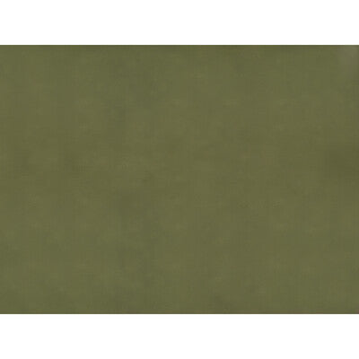 BRUNSCHWIG & FILS JAG-50002.30.0 SUKHOTHAI OLIVE  Fabric - Eade's Wallpaper