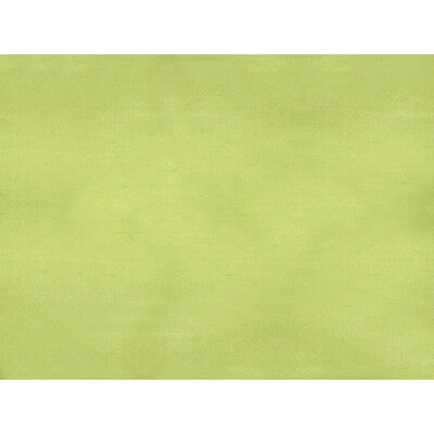 BRUNSCHWIG & FILS JAG-50002.340.0 SUKHOTHAI LEMON GREEN Fabric - Eade's Wallpaper