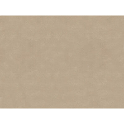 BRUNSCHWIG & FILS JAG-50002.6101.0 SUKHOTHAI THYME Fabric - Eade's Wallpaper