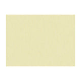 BRUNSCHWIG & FILS JAG-50020.1001.0 SHOTS PONGEE Fabric - Eade's Wallpaper