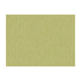 BRUNSCHWIG & FILS JAG-50020.30.0 SHOTS THYME Fabric - Eade's Wallpaper