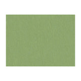 BRUNSCHWIG & FILS JAG-50020.3003.0 SHOTS TARRAGON Fabric - Eade's Wallpaper