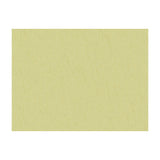 BRUNSCHWIG & FILS JAG-50020.3030.0 SHOTS SPANISH MOSS Fabric - Eade's Wallpaper