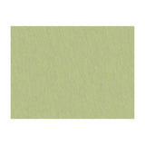 BRUNSCHWIG & FILS JAG-50020.3400.0 SHOTS MARJORAM Fabric - Eade's Wallpaper