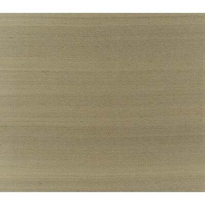 BRUNSCHWIG & FILS JAG-50052.106.0 SILK TWIST CAFE AU LAIT Fabric - Eade's Wallpaper