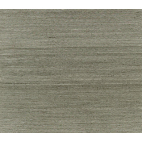 BRUNSCHWIG & FILS JAG-50052.11.0 SILK TWIST PEWTER Fabric - Eade's Wallpaper
