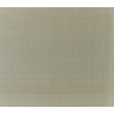 BRUNSCHWIG & FILS JAG-50052.16.0 SILK TWIST PLATINUM Fabric - Eade's Wallpaper