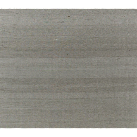 BRUNSCHWIG & FILS JAG-50052.21.0 SILK TWIST GREY FLANNEL Fabric - Eade's Wallpaper