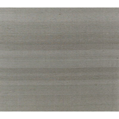 BRUNSCHWIG & FILS JAG-50052.21.0 SILK TWIST GREY FLANNEL Fabric - Eade's Wallpaper