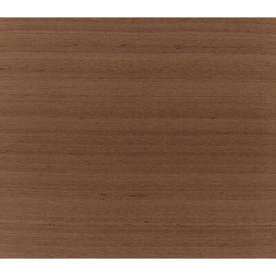 BRUNSCHWIG & FILS JAG-50052.24.0 SILK TWIST SPICE Fabric - Eade's Wallpaper