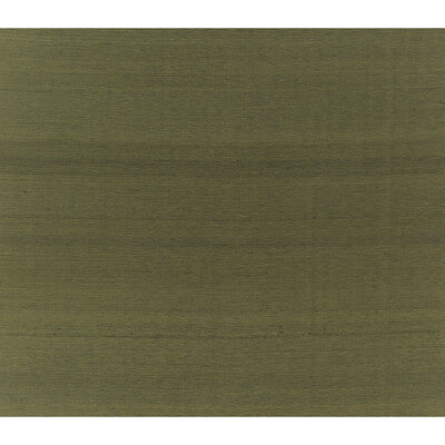 BRUNSCHWIG & FILS JAG-50052.30.0 SILK TWIST MOSS Fabric - Eade's Wallpaper
