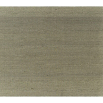 BRUNSCHWIG & FILS JAG-50052.6.0 SILK TWIST ESPRESSO Fabric - Eade's Wallpaper