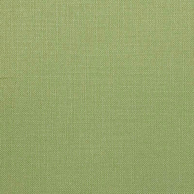Eade’s JAGGER ELM ELM