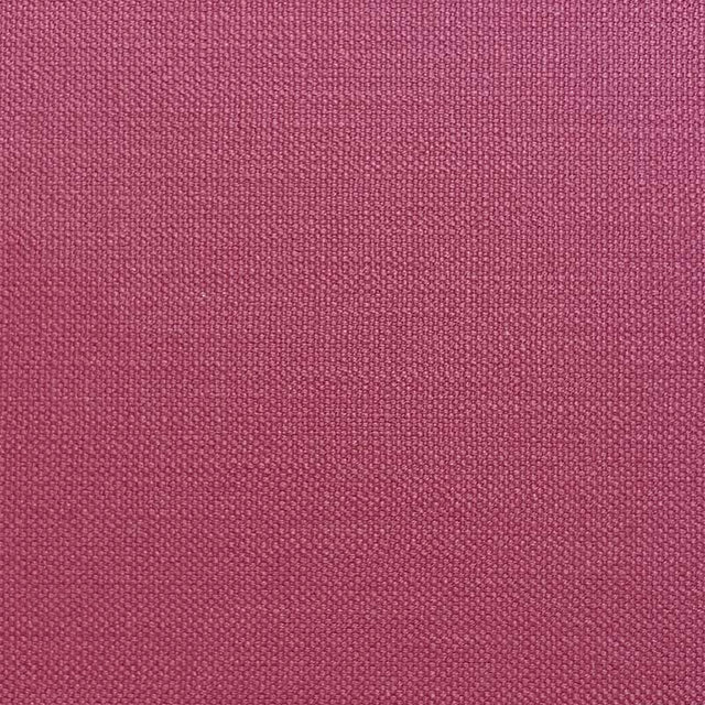 Eade’s JAGGER PINK PINK