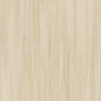 STOUT JILL-1 JILLIAN 1 CHAMPAGNE Fabric - Eades Wallpaper & Fabric