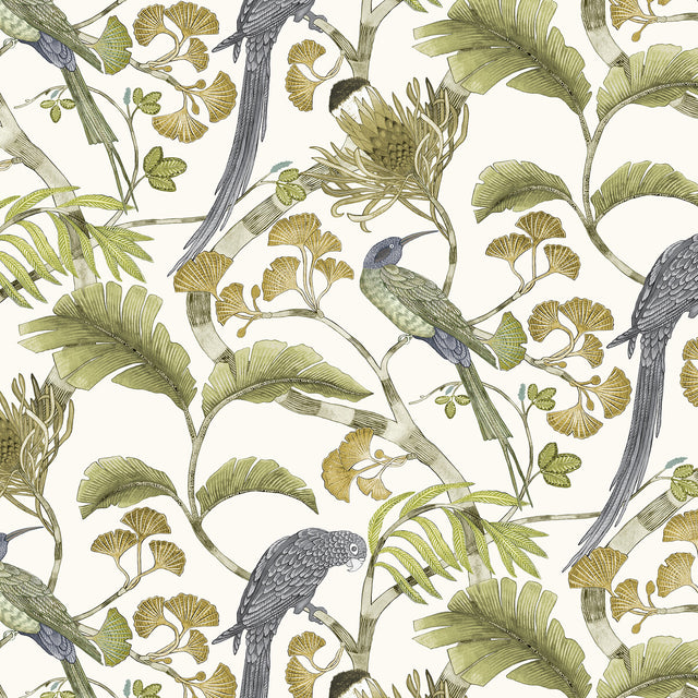 KRAVET COUTURE JMW1006.31.0 LIVING BRANCHES 31 Wallpaper - Eade's Wallpaper