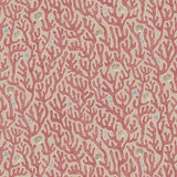 KRAVET COUTURE JMW1016.01.0 CORAL 01 Wallpaper - Eade's Wallpaper