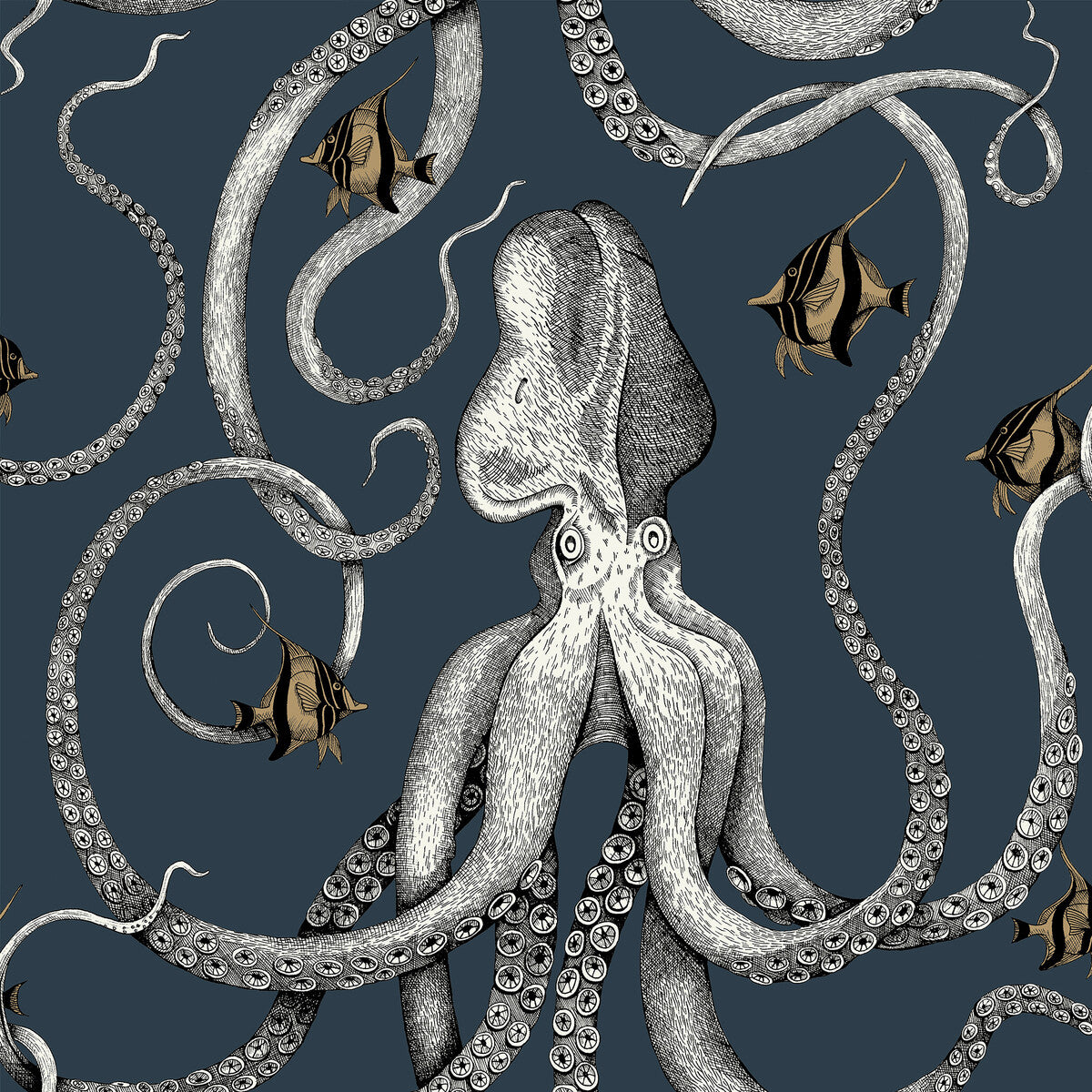 KRAVET COUTURE JMW1030.01.0 OCTOPODA GRAND 01 Wallpaper - Eade's Wallpaper