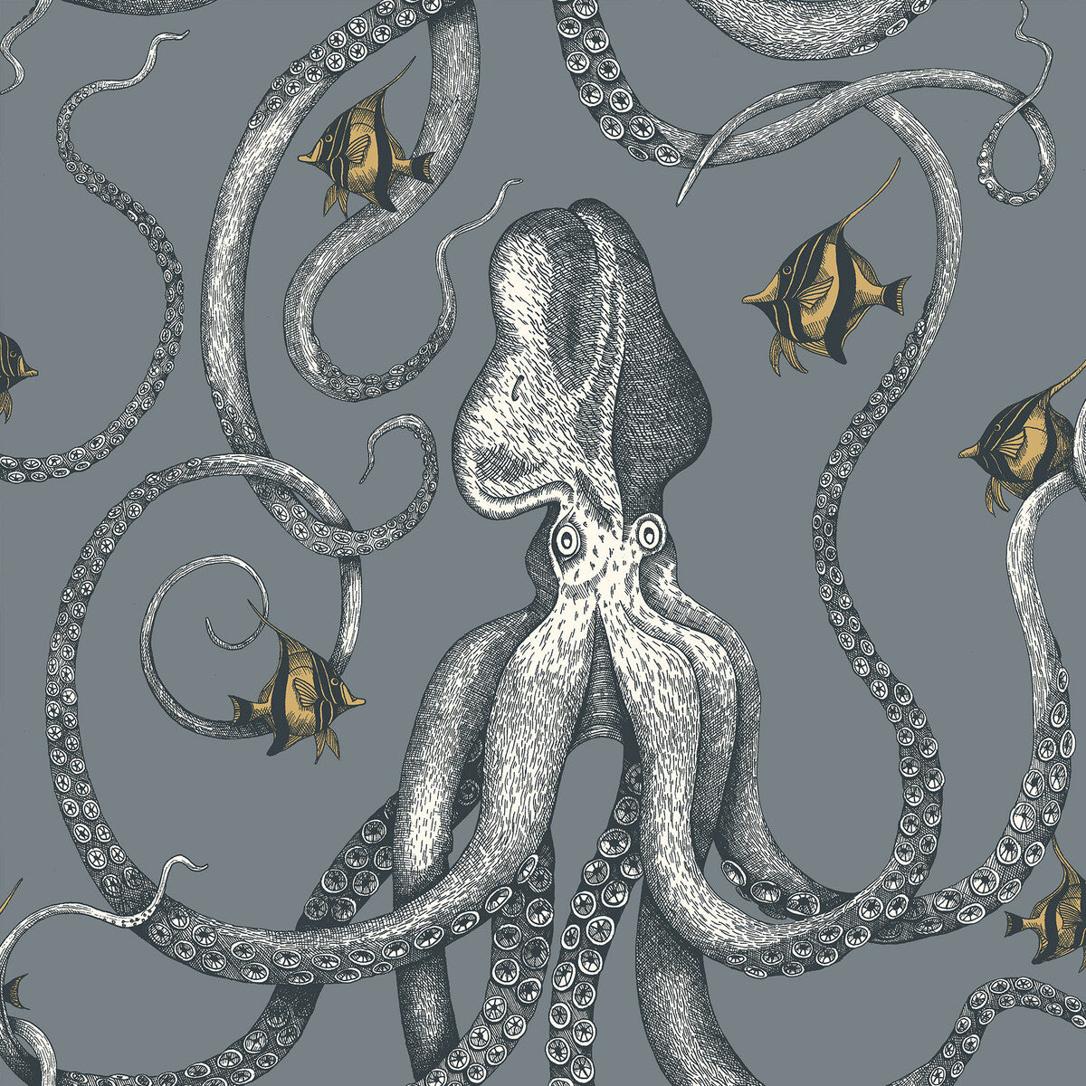 KRAVET COUTURE JMW1030.11.0 OCTOPODA GRAND 11 Wallpaper - Eade's Wallpaper