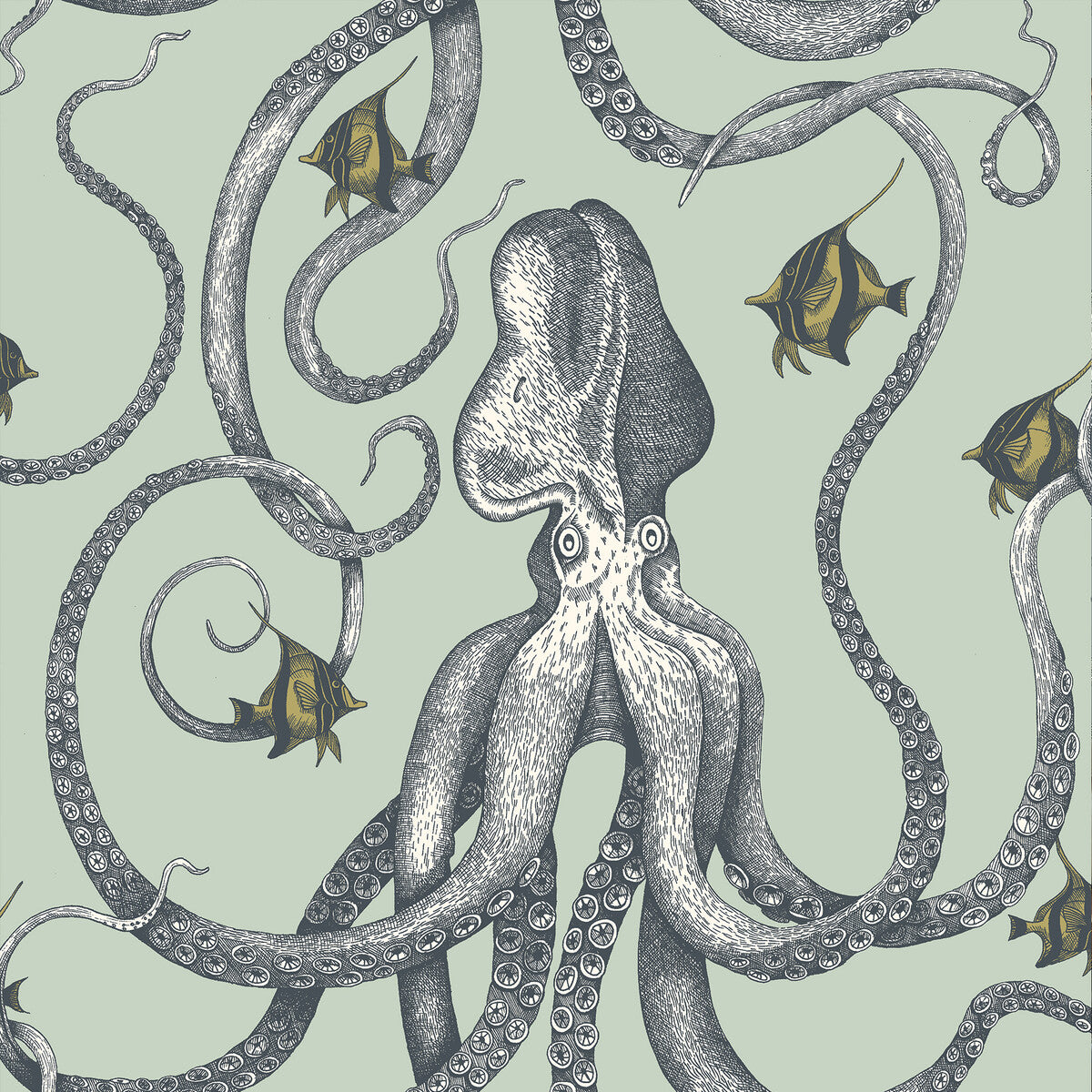 KRAVET COUTURE JMW1030.21.0 OCTOPODA GRAND 21 Wallpaper - Eade's Wallpaper