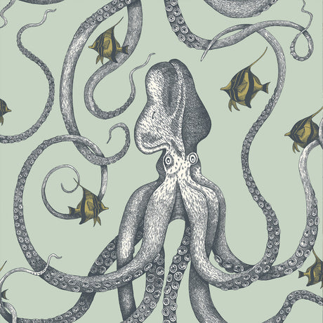 KRAVET COUTURE JMW1030.21.0 OCTOPODA GRAND 21 Wallpaper - Eade's Wallpaper
