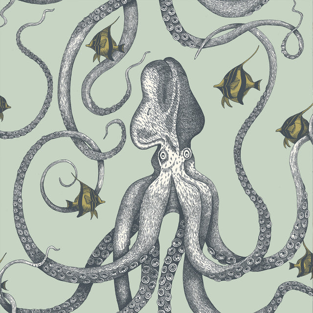 KRAVET COUTURE JMW1030.21.0 OCTOPODA GRAND 21 Wallpaper - Eade's Wallpaper