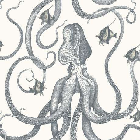 KRAVET COUTURE JMW1030.31.0 OCTOPODA GRAND 31 Wallpaper - Eade's Wallpaper