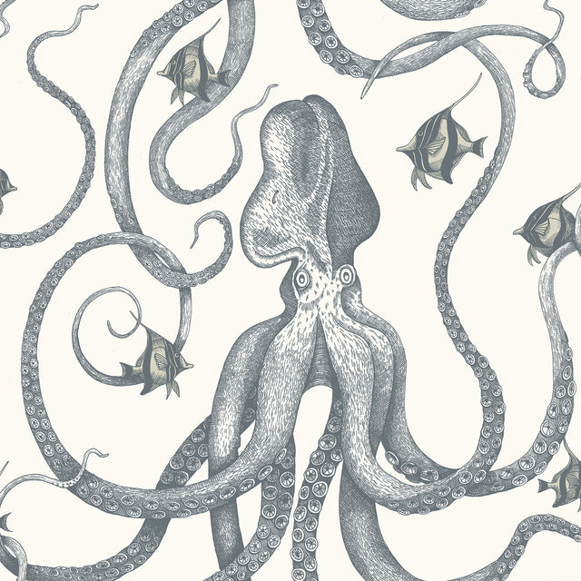 KRAVET COUTURE JMW1030.31.0 OCTOPODA GRAND 31 Wallpaper - Eade's Wallpaper