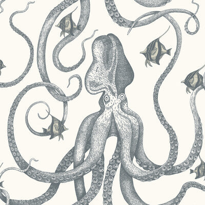 KRAVET COUTURE JMW1030.31.0 OCTOPODA GRAND 31 Wallpaper - Eade's Wallpaper