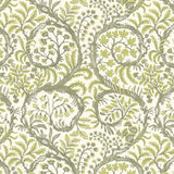 KRAVET COUTURE JMW1031.21.0 BUTTERROW 21 Wallpaper - Eade's Wallpaper