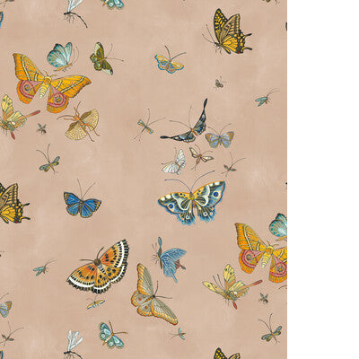 KRAVET COUTURE BUTTERFLIES JMW1043.01.0 in 1 Wallpaper - JOS