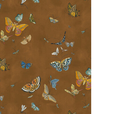 KRAVET COUTURE BUTTERFLIES JMW1043.11.0 in 11 Wallpaper - JO