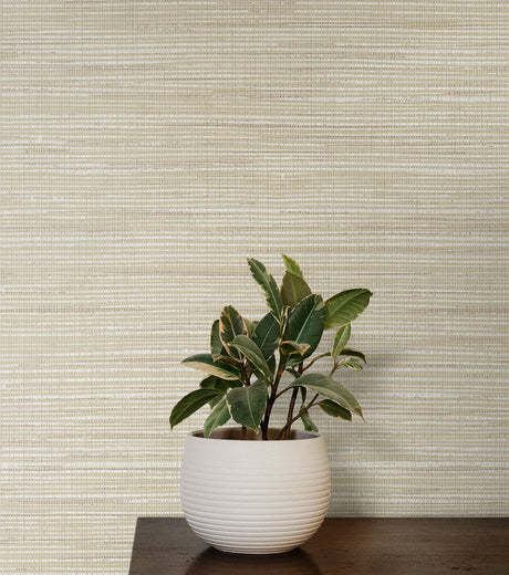 Seabrook Designs JP10405 Wallpaper - Eade's Wallpaper & Fabric