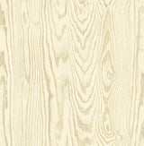 Seabrook Designs JP10503 Wallpaper - Eade's Wallpaper & Fabric