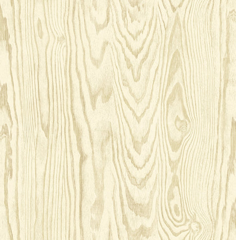 Seabrook Designs JP10503 Wallpaper - Eade's Wallpaper & Fabric