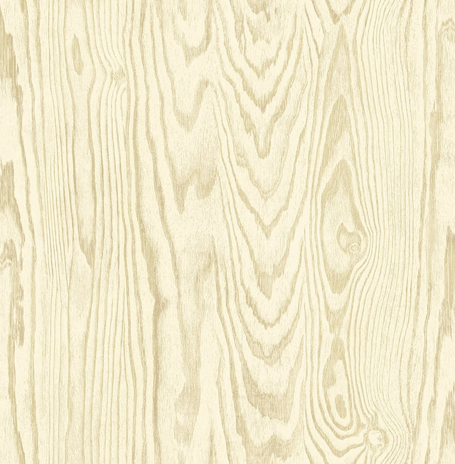 Seabrook Designs JP10503 Wallpaper - Eade's Wallpaper & Fabric