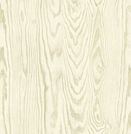 Seabrook Designs JP10505 Wallpaper - Eade's Wallpaper & Fabric