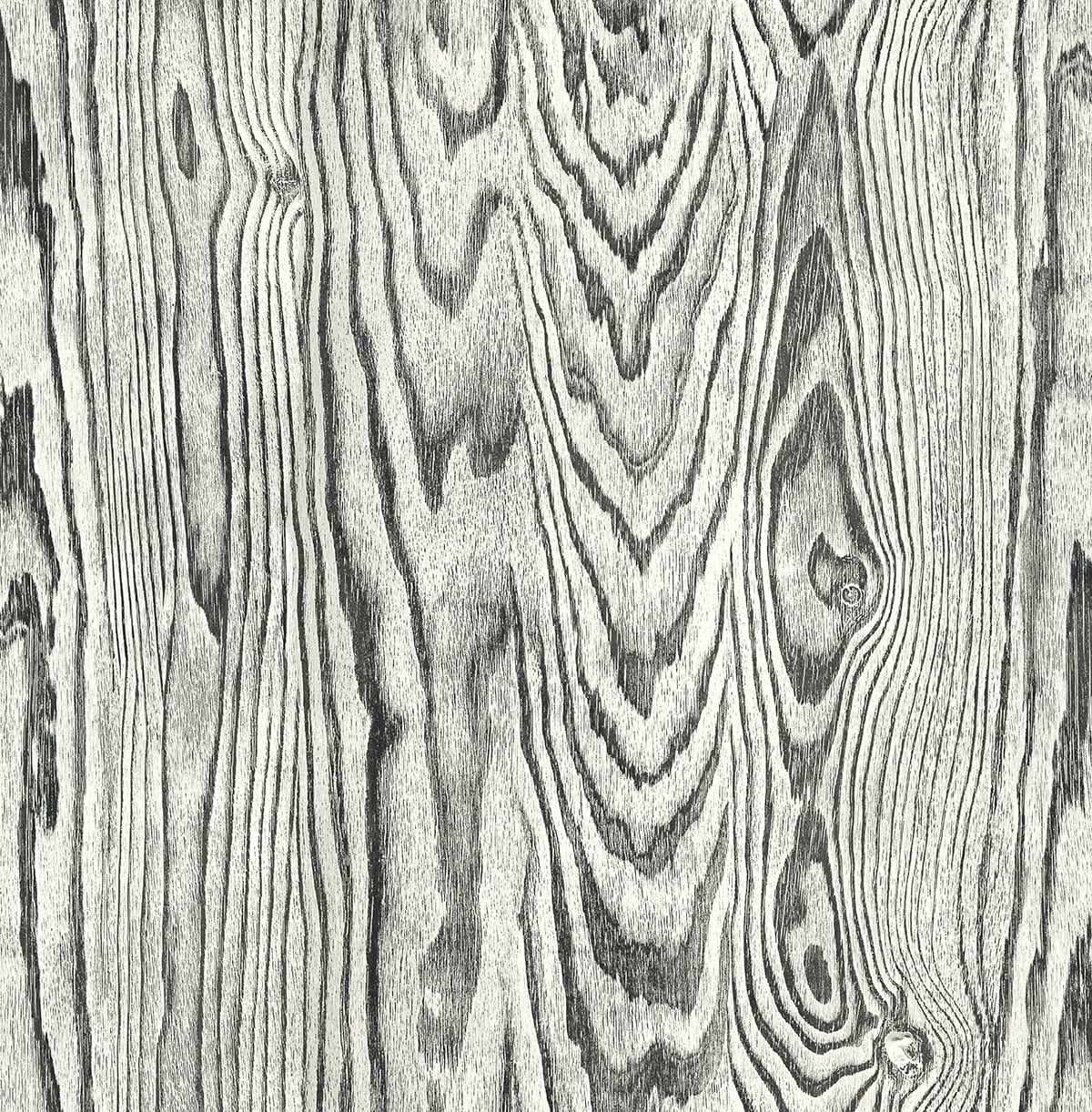 Seabrook Designs JP10510 Wallpaper - Eade's Wallpaper & Fabric