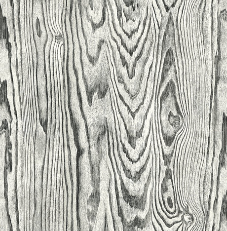 Seabrook Designs JP10510 Wallpaper - Eade's Wallpaper & Fabric