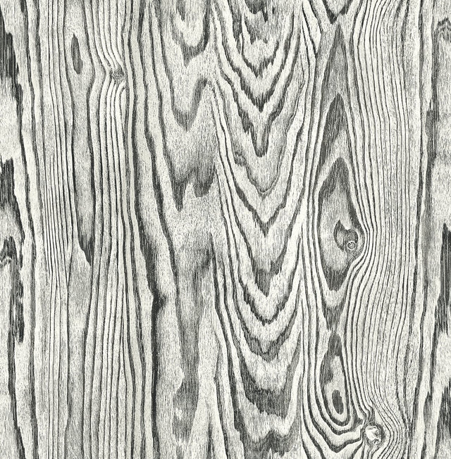 Seabrook Designs JP10510 Wallpaper - Eade's Wallpaper & Fabric