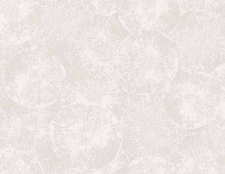 Seabrook Designs JP10700 Wallpaper - Eade's Wallpaper & Fabric