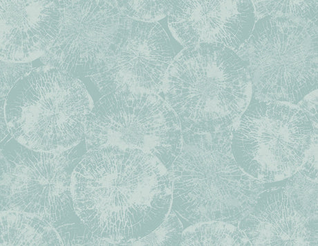 Seabrook Designs JP10702 Wallpaper - Eade's Wallpaper & Fabric