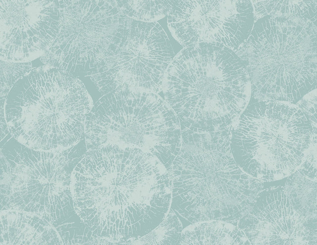 Seabrook Designs JP10702 Wallpaper - Eade's Wallpaper & Fabric