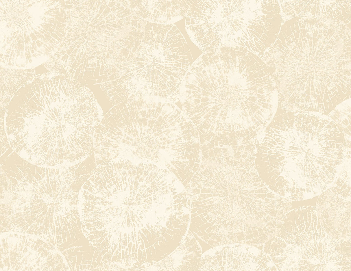 Seabrook Designs JP10705 Wallpaper - Eade's Wallpaper & Fabric