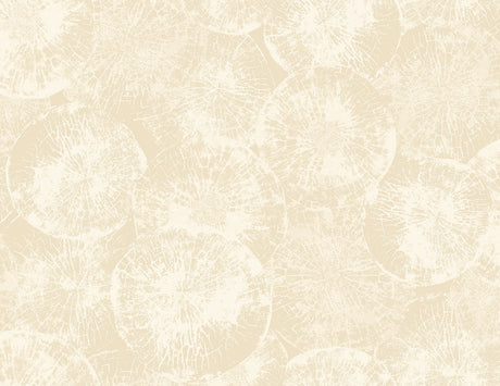 Seabrook Designs JP10705 Wallpaper - Eade's Wallpaper & Fabric