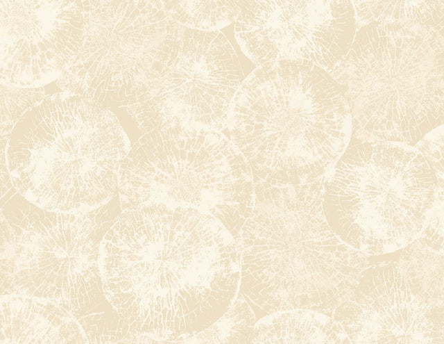 Seabrook Designs JP10705 Wallpaper - Eade's Wallpaper & Fabric