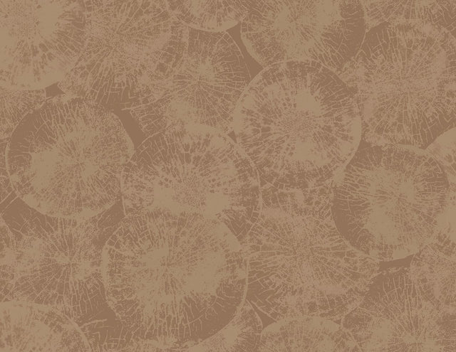 Seabrook Designs JP10706 Wallpaper - Eade's Wallpaper & Fabric