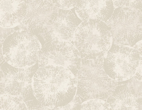 Seabrook Designs JP10707 Wallpaper - Eade's Wallpaper & Fabric
